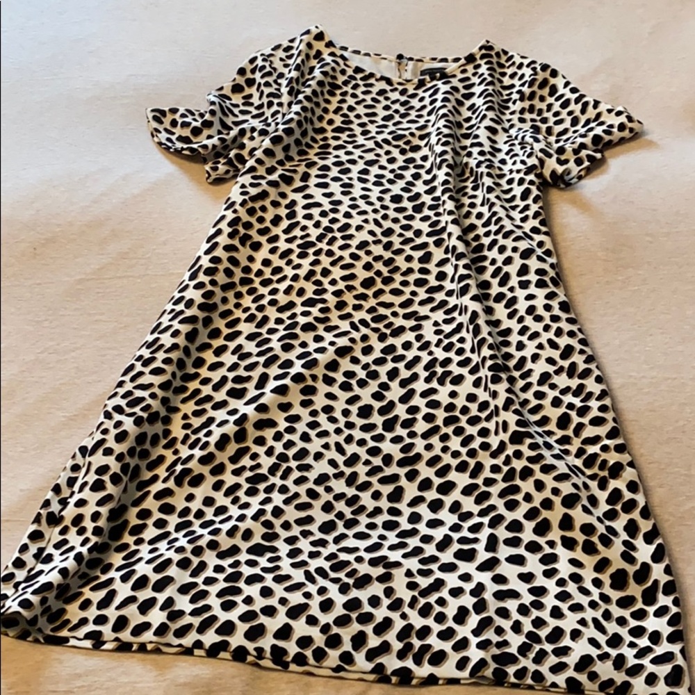 Ann Taylor Cheetah Dot Print Flutter Sleeve Dress